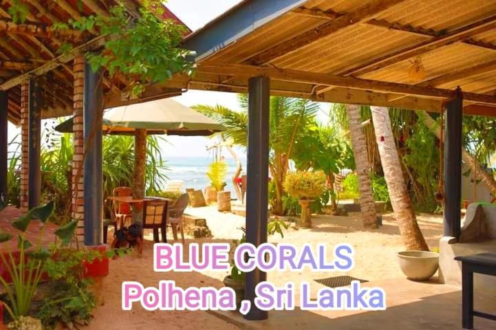 Blue Corals Beach Bungalow Матара Экстерьер фото