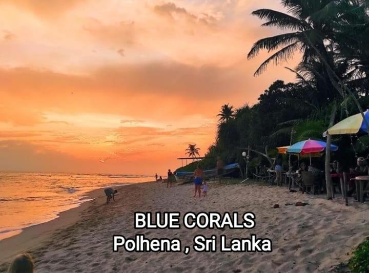 Blue Corals Beach Bungalow Матара Экстерьер фото