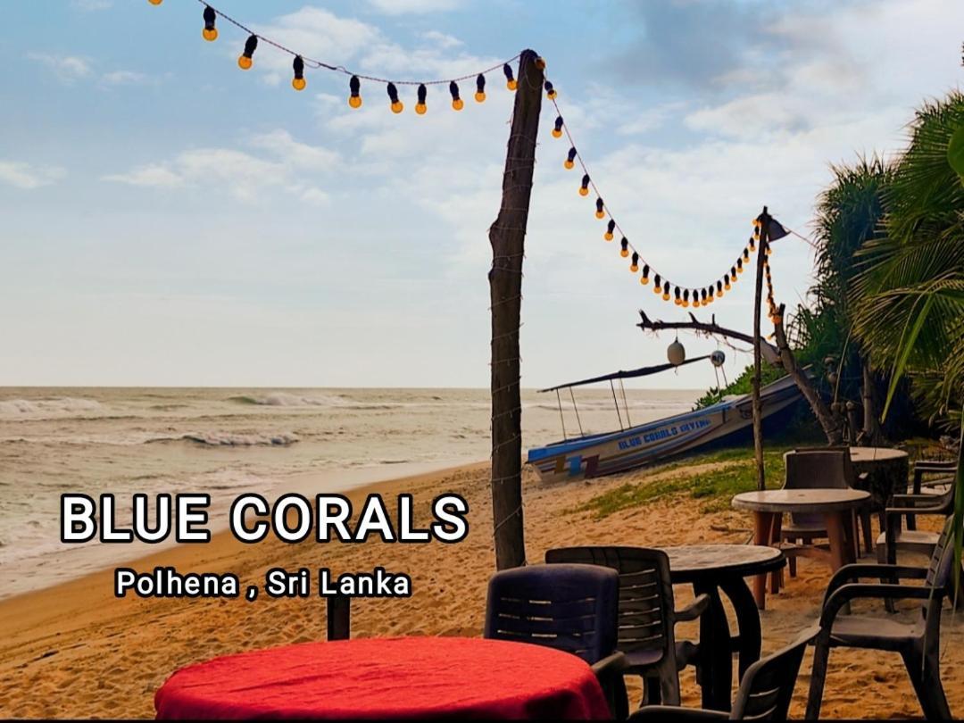 Blue Corals Beach Bungalow Матара Экстерьер фото