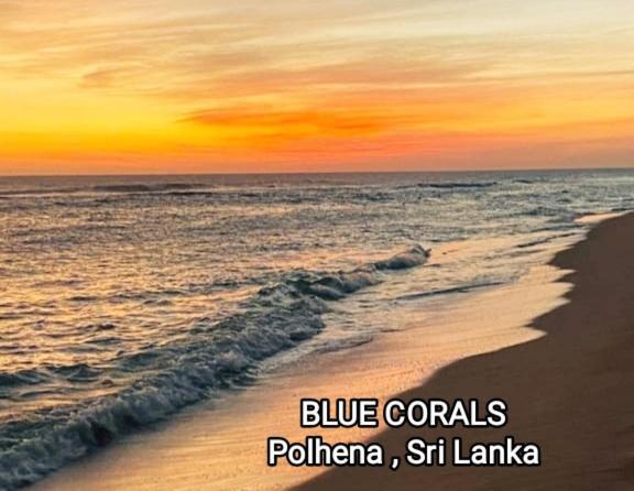 Blue Corals Beach Bungalow Матара Экстерьер фото