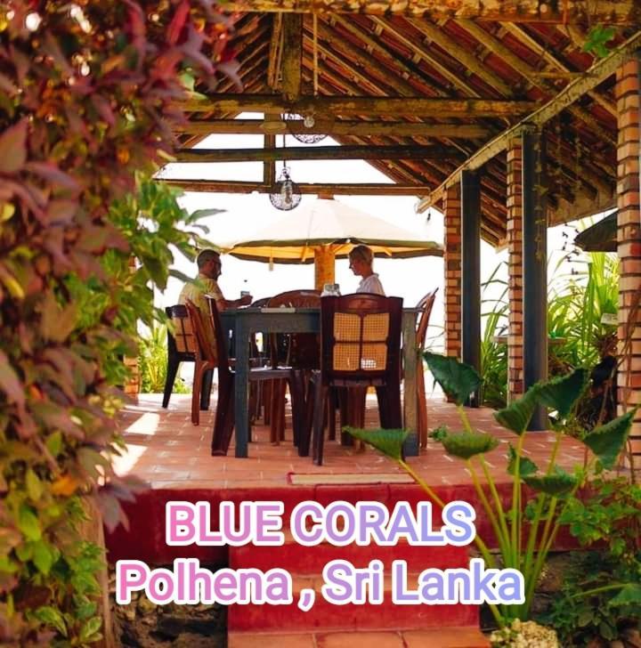 Blue Corals Beach Bungalow Матара Экстерьер фото