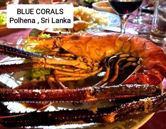 Blue Corals Beach Bungalow Матара Экстерьер фото