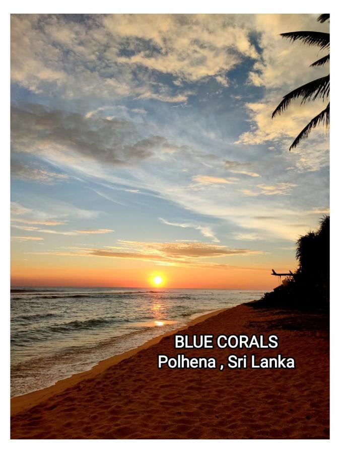 Blue Corals Beach Bungalow Матара Экстерьер фото