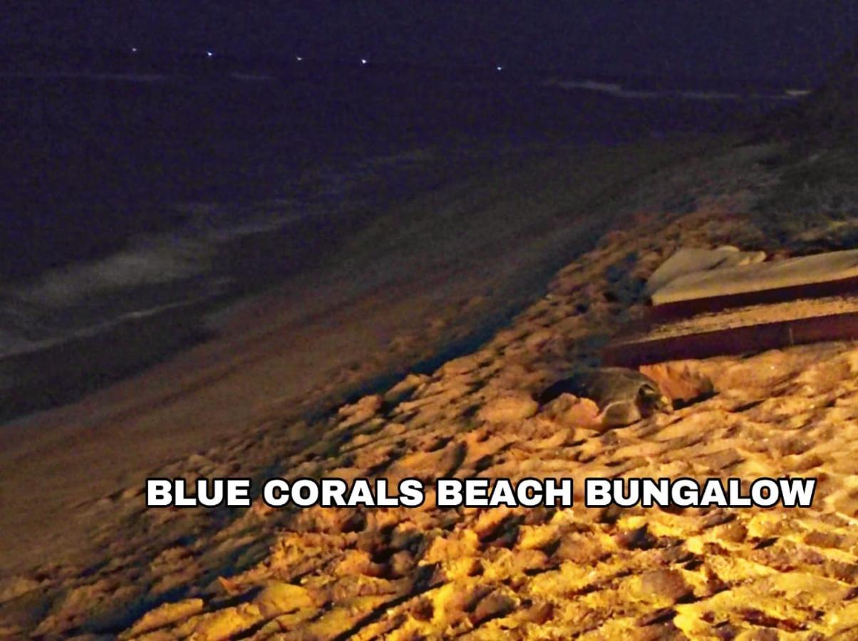 Blue Corals Beach Bungalow Матара Экстерьер фото